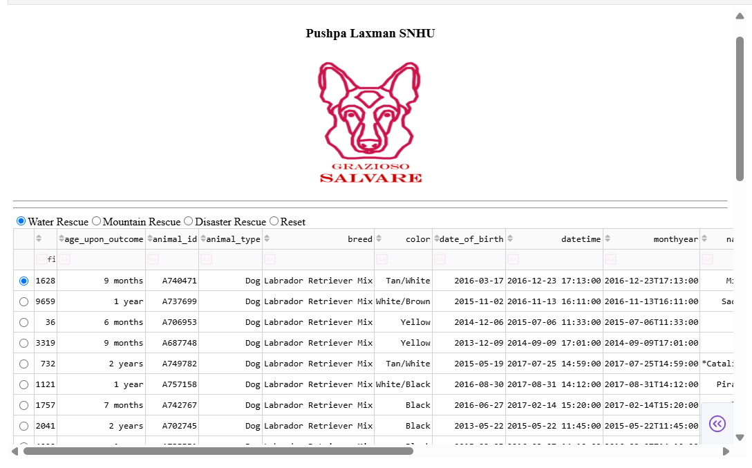 Algorithm Dashboard Screenshot