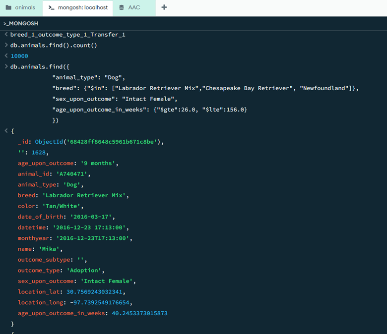 Database Filtering Screenshot